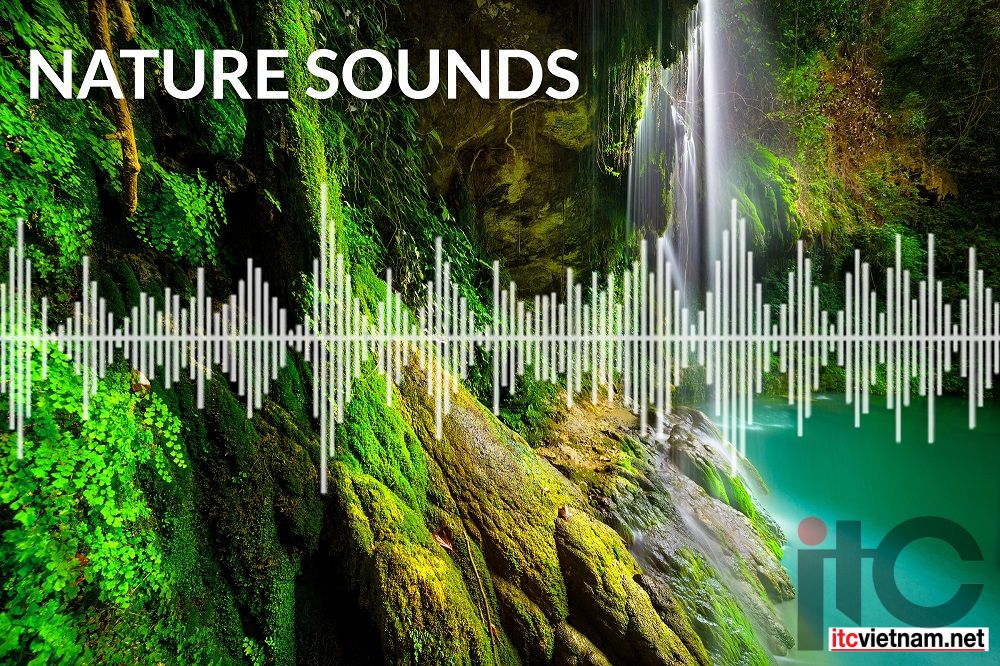 Âm thanh có ý nghĩa có tác động như thế nào tới cuộc sống của chúng ta